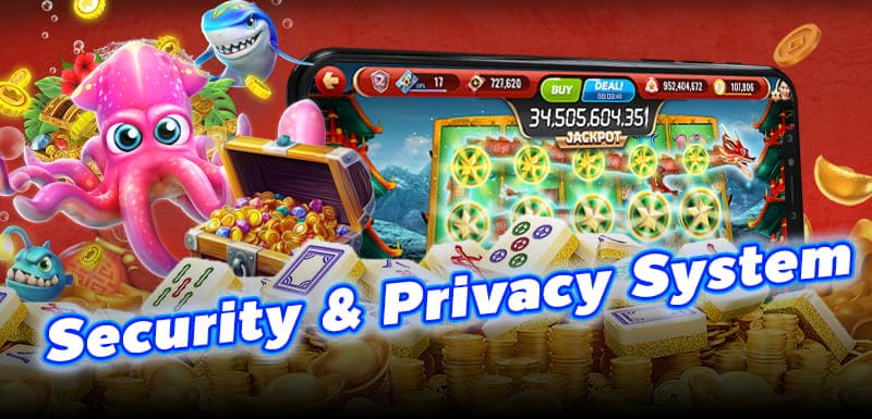 Security & Privacy System